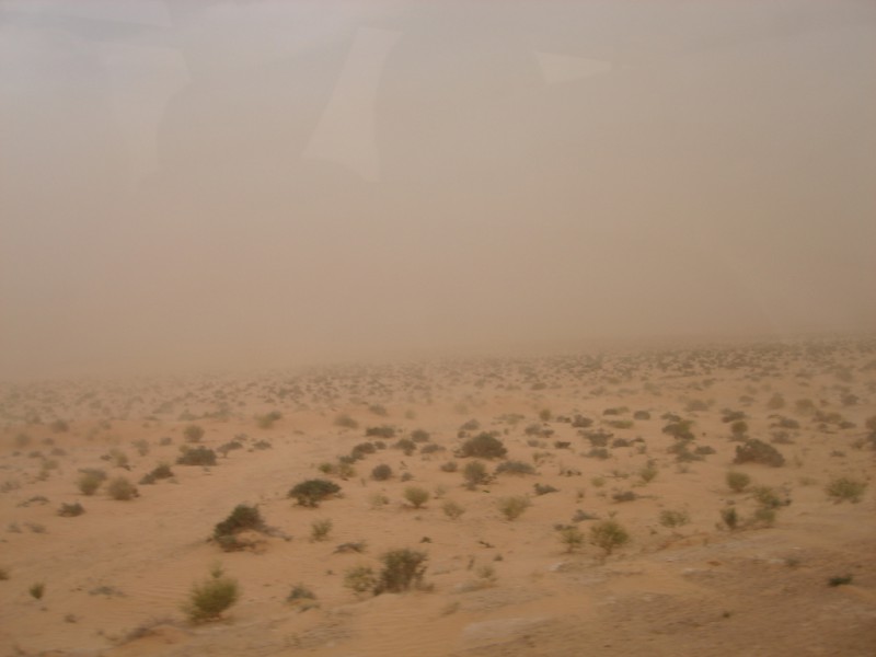 Roepende in een zandstorm in de woestijn
